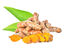 Curcumin